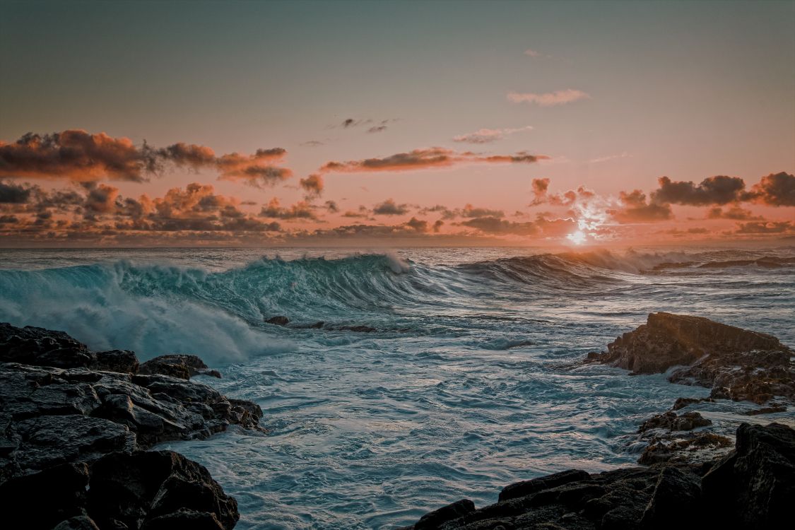 ocean, horizon, Turtle, promontory, nature