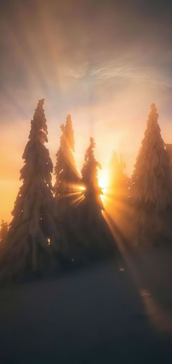 Wach am Himmel Auf, Cloud, Atmosphäre, Afterglow, Naturlandschaft. Wallpaper in 1422x3000 Resolution