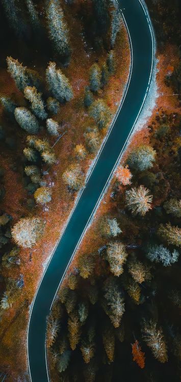 Submarino, Arrecife de Coral, Biología Marina, Entorno Natural, la Botánica. Wallpaper in 1421x3000 Resolution