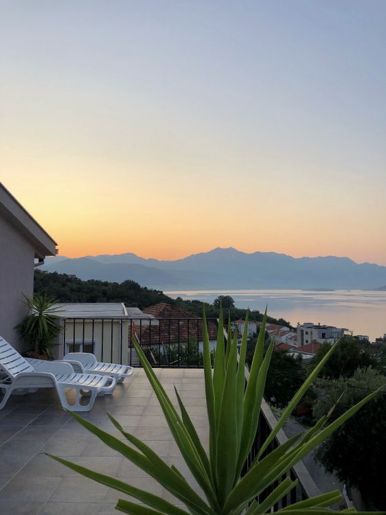 Palmier, Immobilier, Eau, Propriété, Horizon. Wallpaper in 3024x4032 Resolution