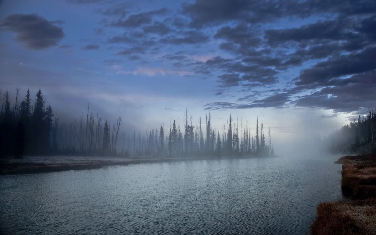 Gewässer in Der Nähe Von Bäumen Unter Blauem Himmel Tagsüber. Wallpaper in 1920x1200 Resolution