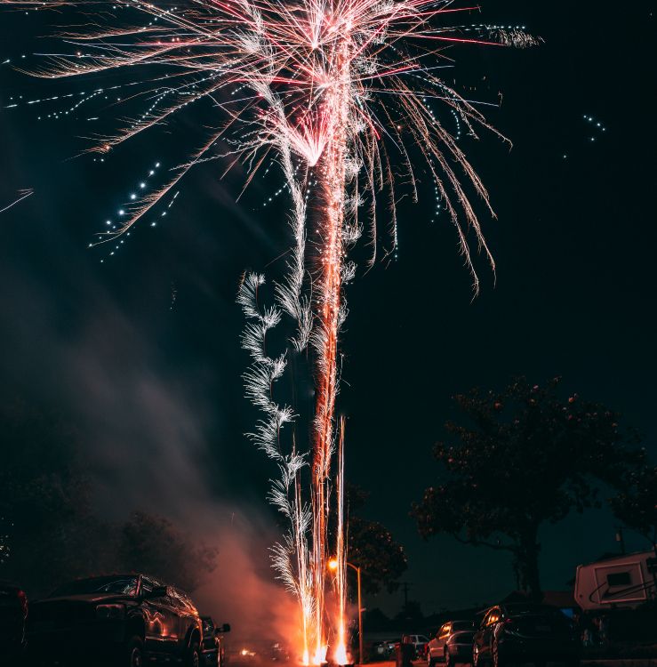 Feuerwerk, Neue Jahre Tag, Nacht, Veranstaltung, Baum. Wallpaper in 5225x5299 Resolution