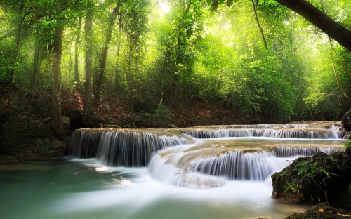 Image water falls in the middle of green trees