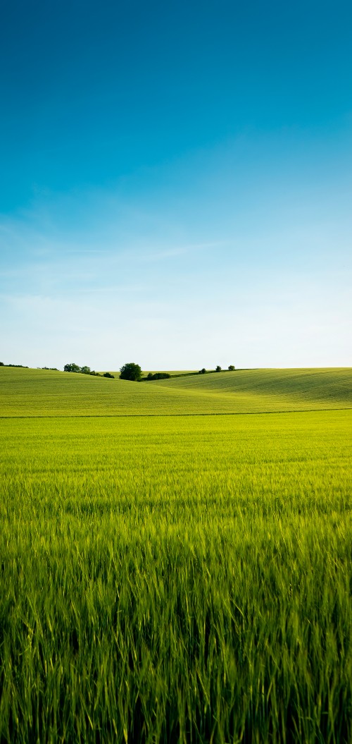 Image Chinese language, plant, People in nature, natural landscape, cloud