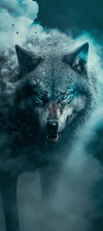 Wolf, Wasser, Carnivore, Azure, Backenbart. Wallpaper in 2764x6144 Resolution