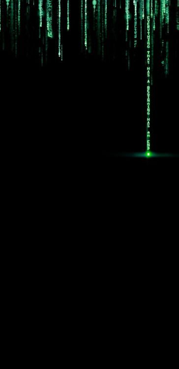 Matrix Digitaler Regen, Amoled, OLED, IOS 13, Ios. Wallpaper in 1080x2220 Resolution
