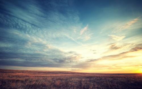 Image brown grass field under blue sky during daytime