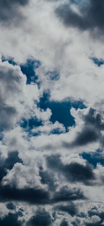 cloud, atmosphere, blue, cumulus, tree