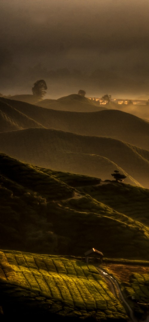 Image cloud, atmosphere, ecoregion, mountain, orange