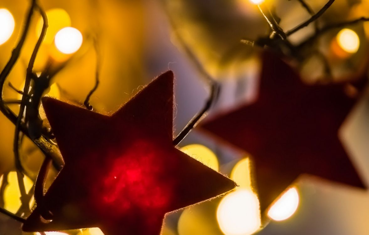 leaf, light, lighting, branch, close up