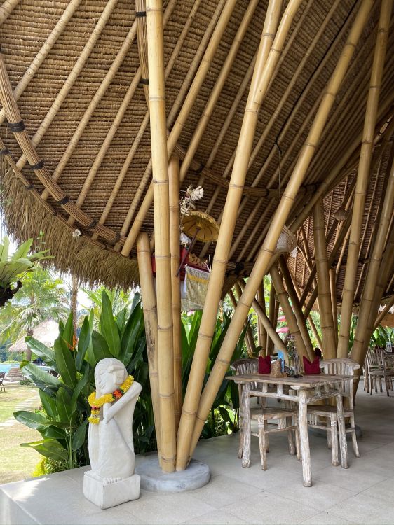 木, 图行动, 外家具, 草坪的装饰品, 外结构 壁纸 1536x2048 允许