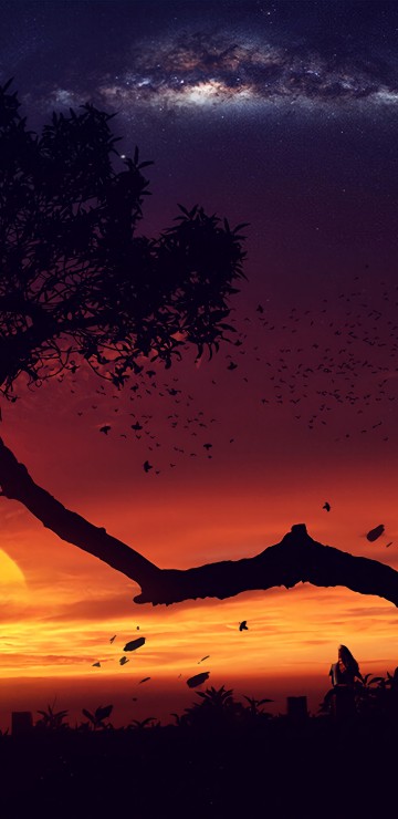 Image digital art, art, life must go on, tree, artist