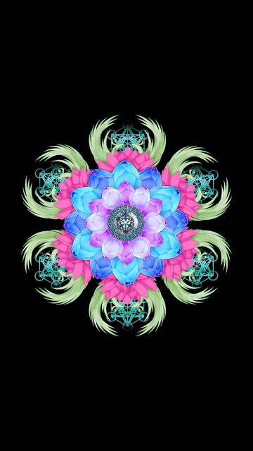 Image purple and white flower illustration