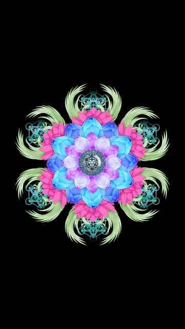 Image purple and white flower illustration