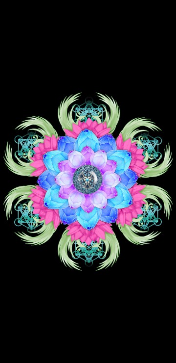 Image purple and white flower illustration
