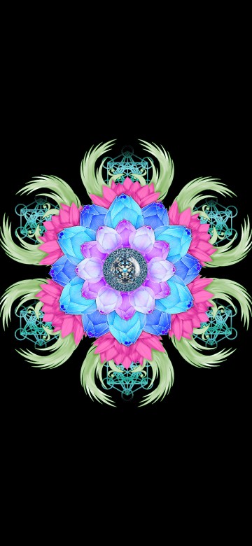 Image purple and white flower illustration