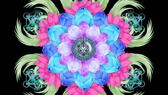 Image purple and white flower illustration