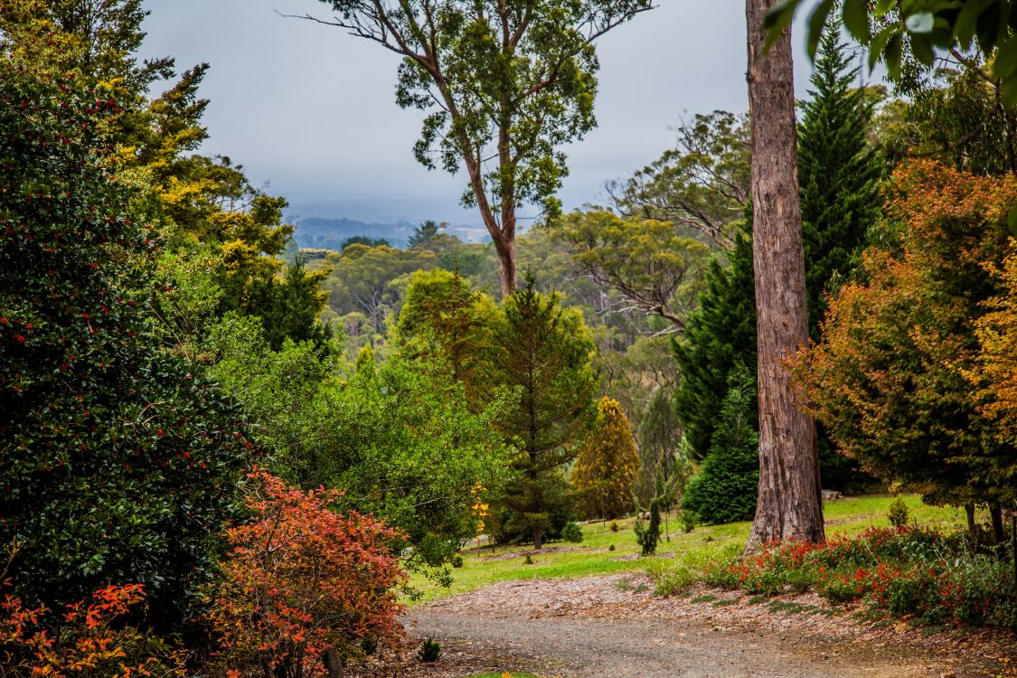 Tagsüber Grüne Bäume Auf Grüner Wiese Field. Wallpaper in 3450x2300 Resolution