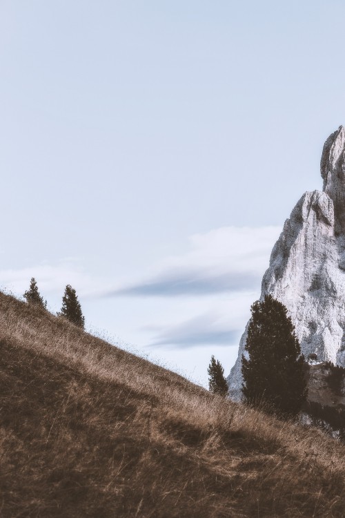 Image mountain, mountainous landforms, tree, hill, natural landscape