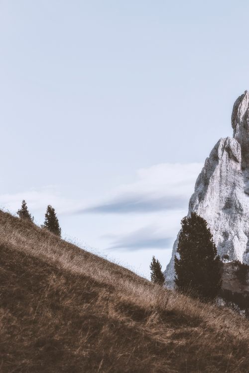 mountain, mountainous landforms, tree, hill, natural landscape