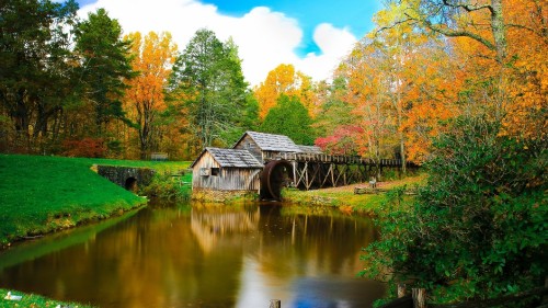 Image brown wooden house near lake surrounded by trees during daytime