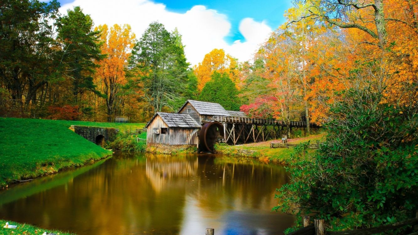 brown wooden house near lake surrounded by trees during daytime