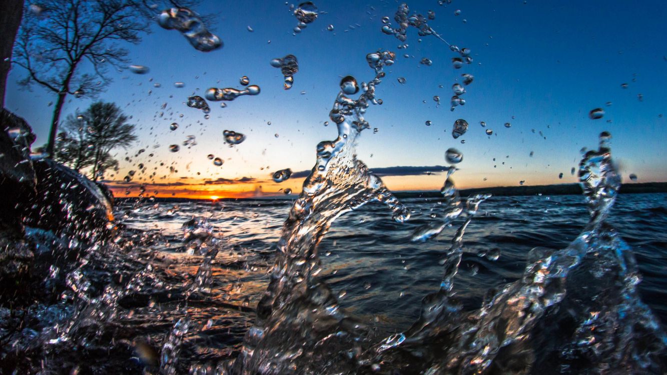 water, liquid, atmosphere, plant, cloud