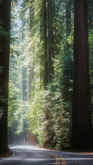 Image grove, ryan rev, succeeding, sbe elow, grove collaborative
