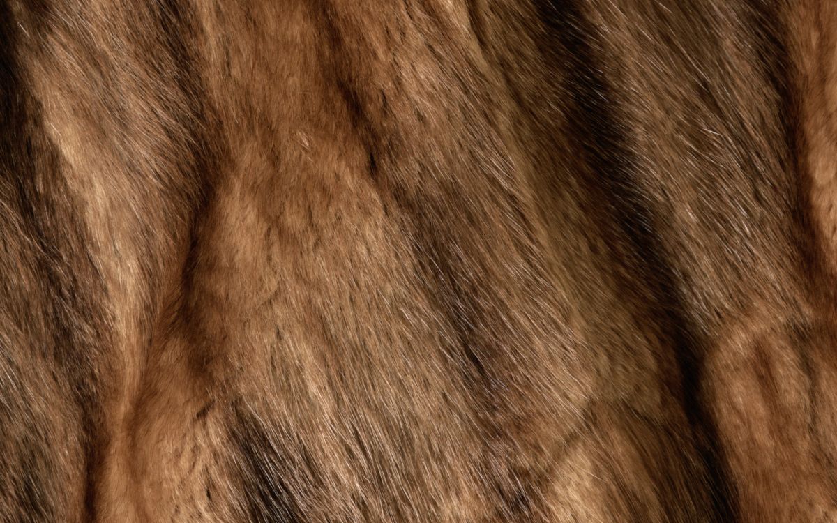 Brauner Und Schwarzer Pelztextil. Wallpaper in 2560x1600 Resolution