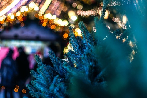 Image Christmas Day, christmas lights, blue, tree, christmas