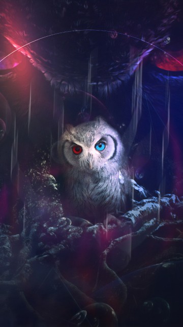 Image white owl with red light