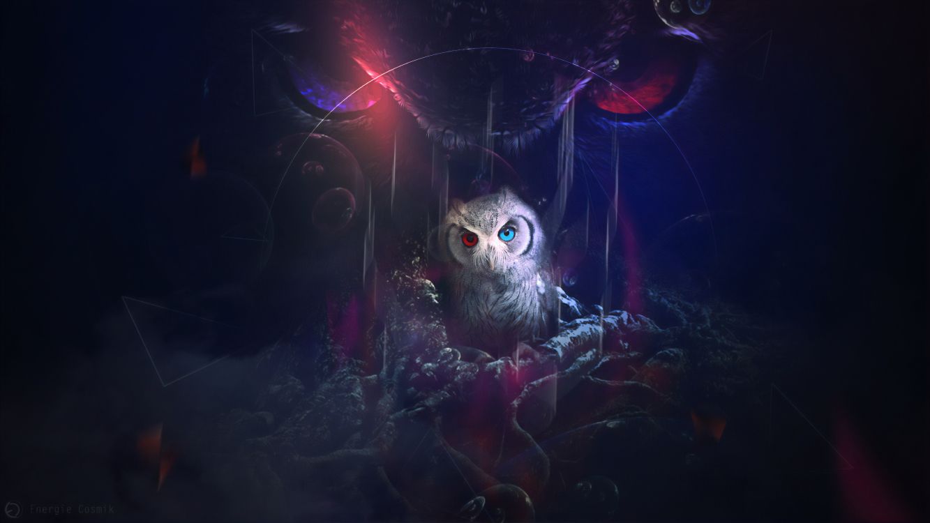 Hibou Blanc Avec Lumière Rouge. Wallpaper in 7680x4320 Resolution