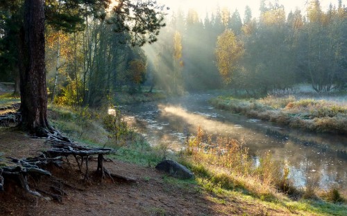 Image brown wooden bench on brown dirt road