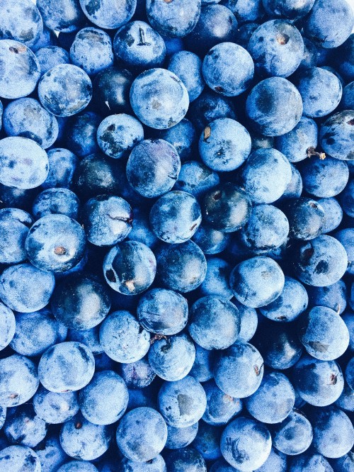 Image blue round fruits on white surface