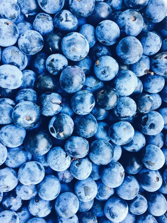 blue round fruits on white surface