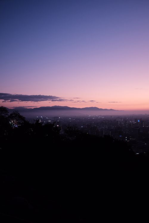 Silhouette D'arbres au Coucher du Soleil. Wallpaper in 3072x4608 Resolution