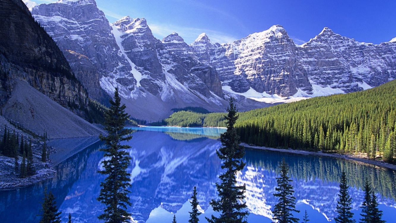 green pine trees near snow covered mountain during daytime