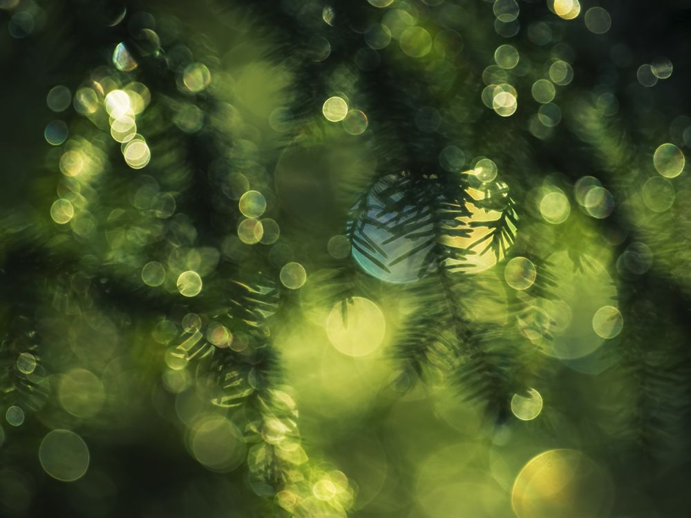 green and blue light bokeh