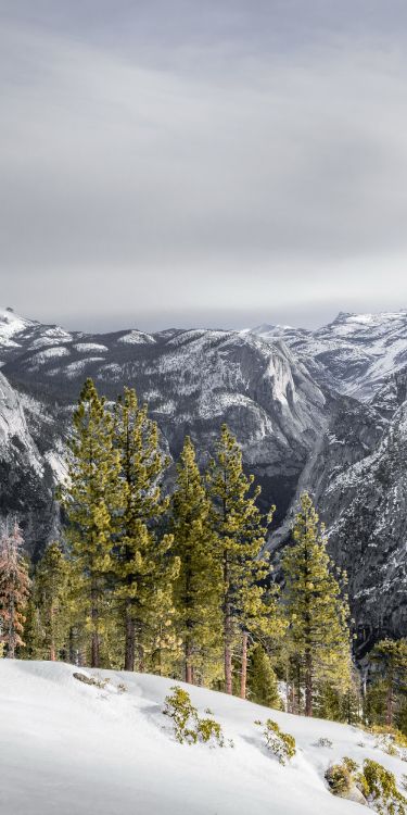 Nieve, Montaña, Pendiente, Highland, Alerce. Wallpaper in 2000x4000 Resolution