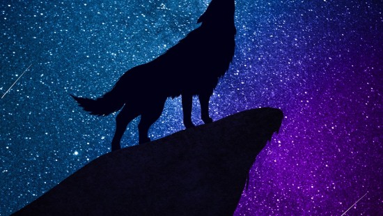 lobo fondo de pantalla de escritorio