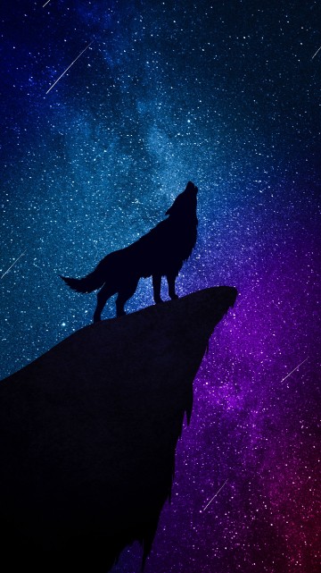 Image star, astronomical object, astronomy, night, constellation