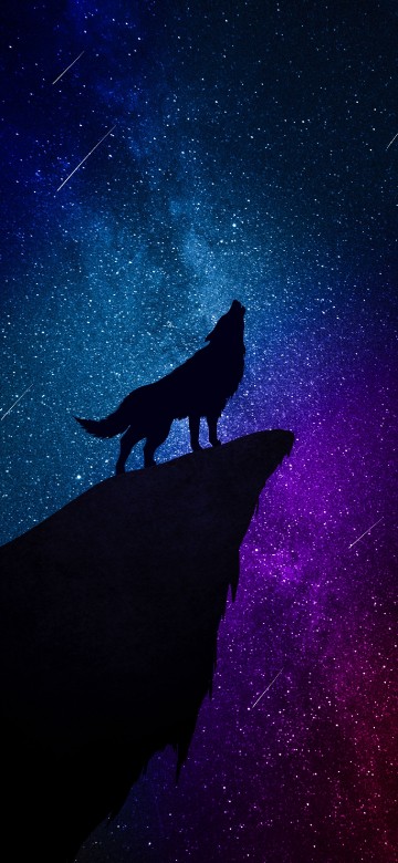 Image star, astronomical object, astronomy, night, constellation
