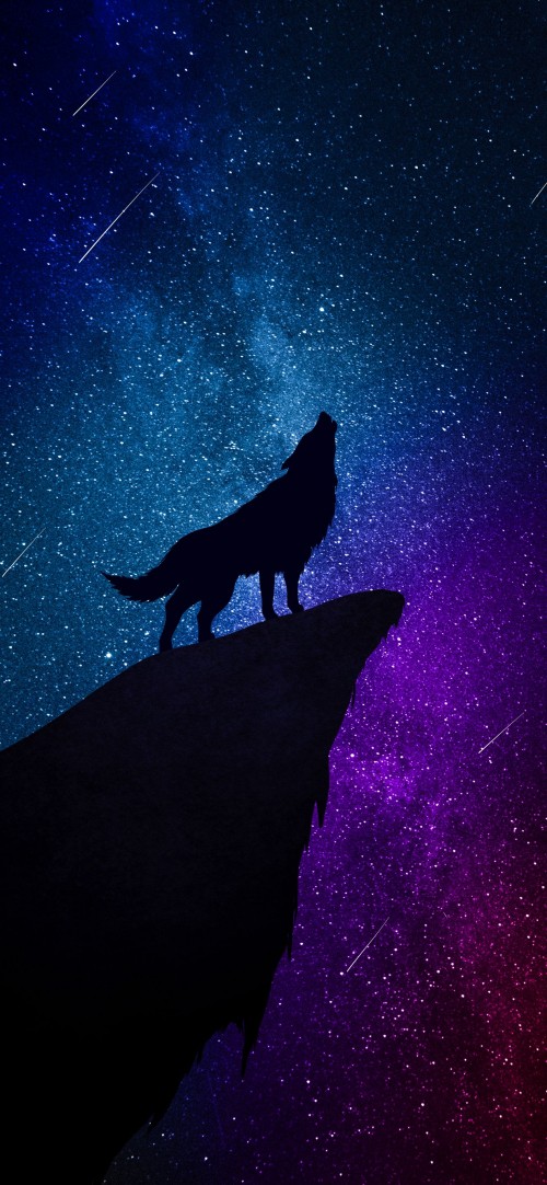 Image star, astronomical object, astronomy, night, constellation