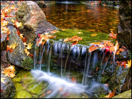 Image water falls with orange leaves on ground