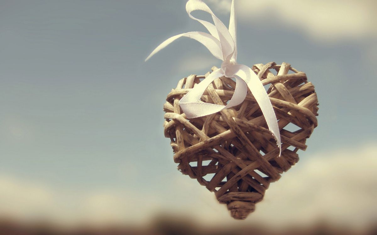 Amor, Coraz, Ramita, Television. Wallpaper in 2560x1600 Resolution