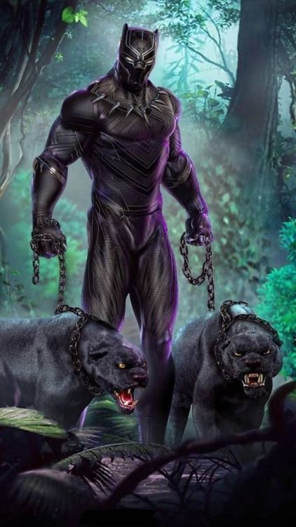 Black Panther, Marvel, Marvel Comics, Superhelden, Wakanda. Wallpaper in 564x1002 Resolution