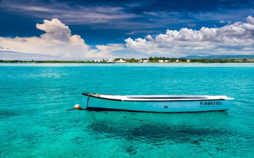 Image white and blue boat on sea during daytime