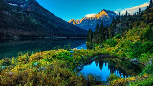 Image green trees near lake and mountain during daytime