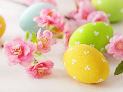 Image easter egg, artificial flower, flower, petal, Easter