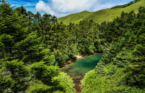 Image green trees on mountain under blue sky during daytime